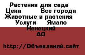 Растения для сада › Цена ­ 200 - Все города Животные и растения » Услуги   . Ямало-Ненецкий АО